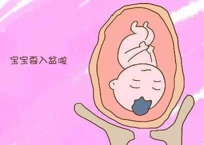 胎儿入盆后胎儿还会长大吗