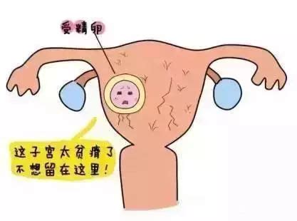 子宫内膜很薄可以做试管婴儿吗