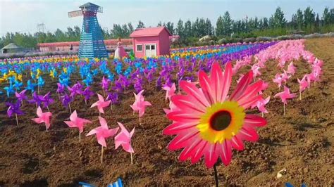 花仙子万花园怎么去?