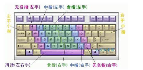vsto vs2010 c#操作word文档,隐藏选中的文字后,怎么接着插入数据.