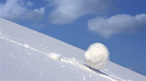 蓝雪球个人档案蓝雪球是蓝盈莹的妈妈吗??