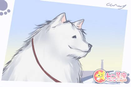 小寒节气的古诗有哪些