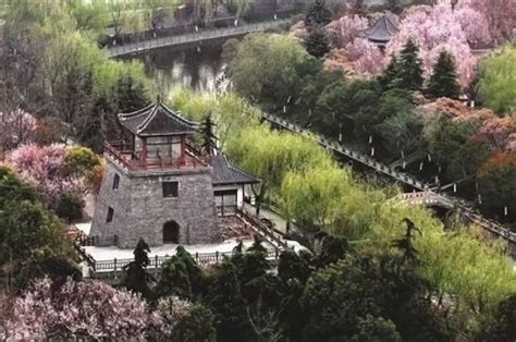 2019中国森林旅游节·全国精品盆景展在如皋开幕
