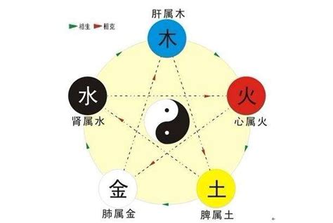 紫色五行属于什么颜色