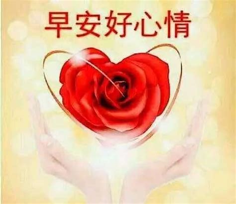 中午问候语幽默短句子