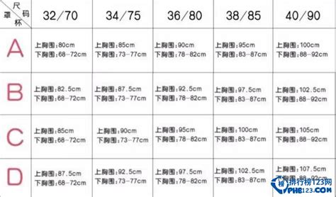 文胸32，34 36，38，40，42都是多大的尺碼