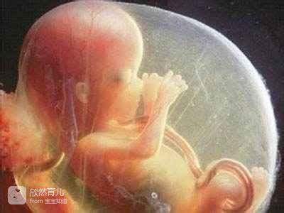 孕期胎儿在肚子里忙些什么
