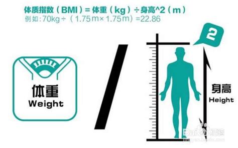 我的BMI是多少帮我算下 在线等