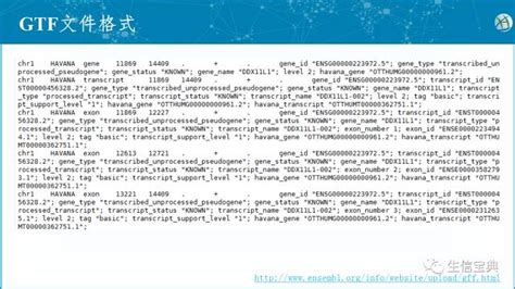 TLB文件是什么?可以删吗?