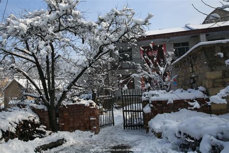 2022年第一场雪-话题作文400字【集锦6篇】