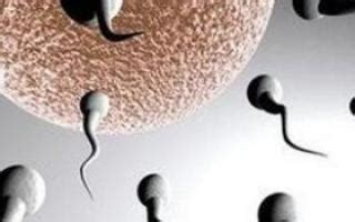 精子常规检查正常标准