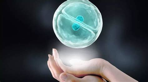 试管婴儿胚胎移植后多少天为预产期2018