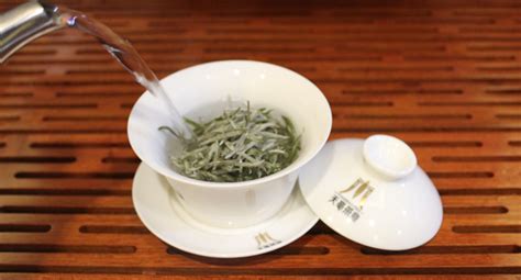 怎么沖泡安吉白茶才好喝?