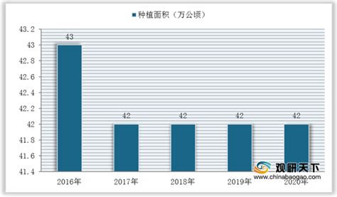 经常吃萝卜有什么好处呀？