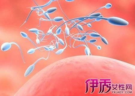 男性精子活力低的表现