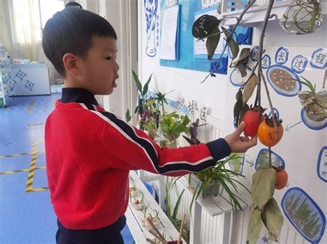 小孩可以不上幼儿园吗？