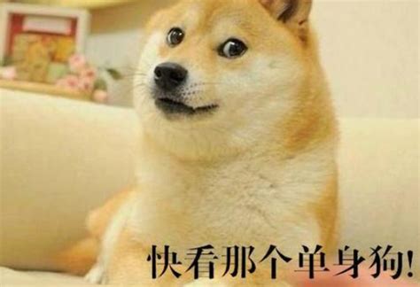 喝西北风怎么幽默回答