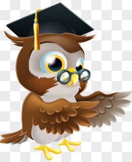 我的“猫头鹰”老师 -人物作文650字【通用7则】