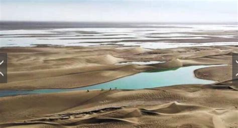 敦煌沙漠一湖泊干涸近三百年现水源，有国家保护动物栖息