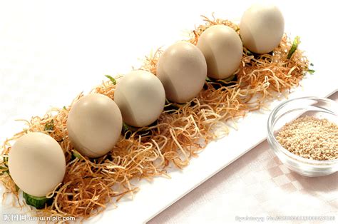 柴鸡蛋跟肉鸡蛋哪个更有营养?