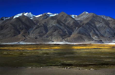 西藏海拔多少米?