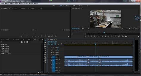 Premiere cs4视频编辑软件可以制作什么特效