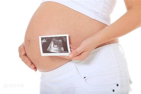 孕妇五个月的肚子大小图片