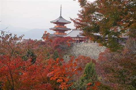 探访日本京都的这17处世界文化遗产