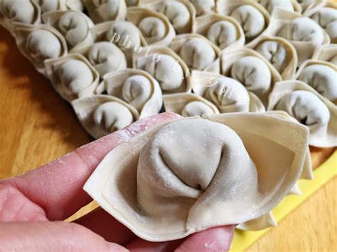 婴儿馄饨怎么包