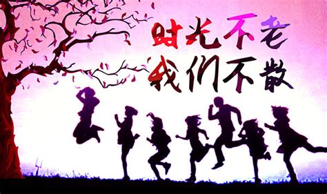 时光却已不在(汇总57段)