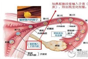 乳房肿痛是要来月经了吗