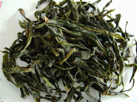 單叢是紅茶還是綠茶？
