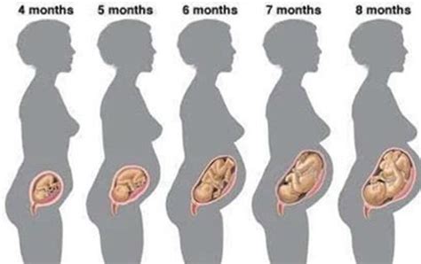 怀孕1到10个月肚子变化照片教程