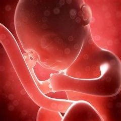 孕妇哪些动作会导致胎儿脐带绕颈