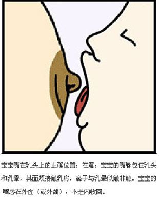 产后催乳8大“功臣”