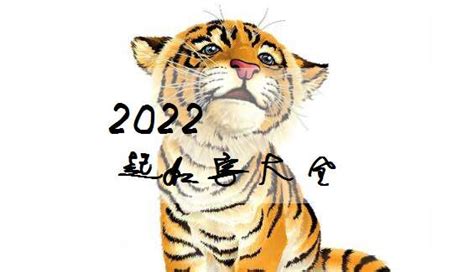 林姓属虎男性取名2022