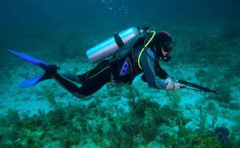 海底100000000米都有什么生物