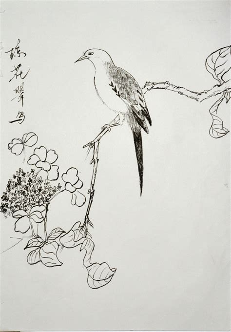 描写花鸟虫鱼的优美句子[合计108句]