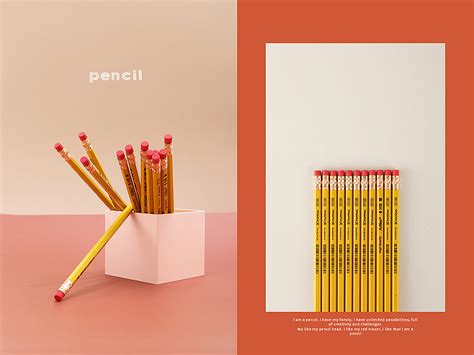 一支漂亮的铅笔-写物作文300字(精选7则)
