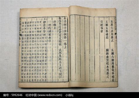 《本草纲目》读后感_记叙文200字【汇总5则】