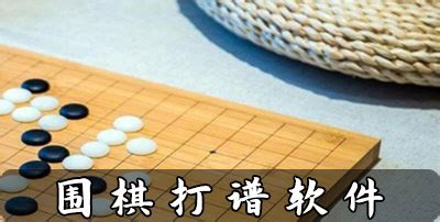 围棋打谱主要是打什么啊？