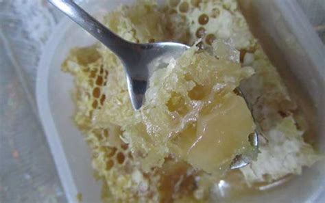 巢蜜能造假嗎?