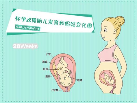 怀孕32周应该注意哪些营养
