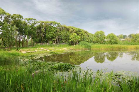 美丽的湿地公园_写景作文300字【经典7篇】