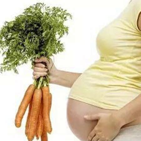 备孕的时候哪些东西不能吃