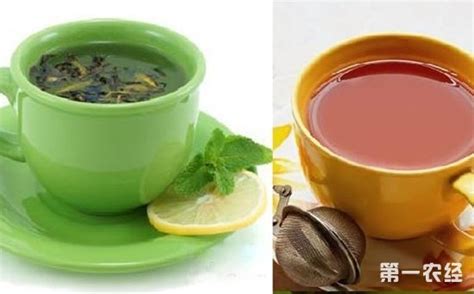 普洱茶是绿茶还是红茶?