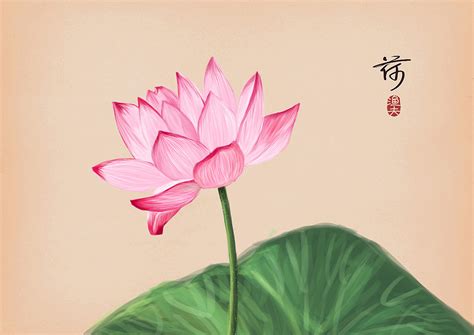 描写荷花形态的句子.