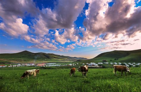 内蒙古高原西端主要分布什么沙漠