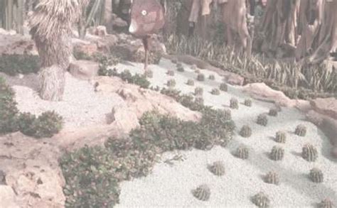 游龙沙动植物园-游记作文550字（精选9则）