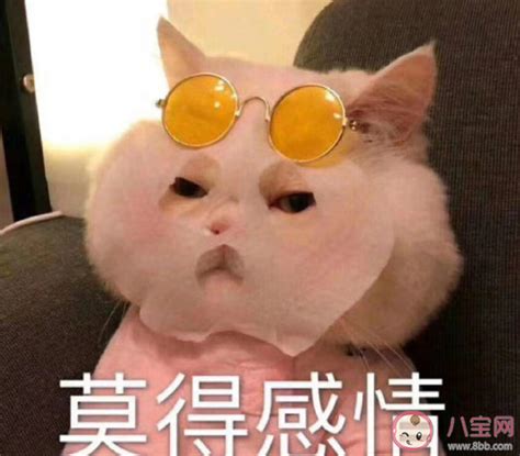 犯困就睡，别让犯困受罪【精选86段】
